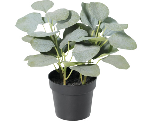 Plantă de eucalipt artificială cu frunze late într-un ghiveci negru.