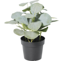 Plantă artificială de eucalipt în ghiveci de plastic negru cu frunze rotunde.