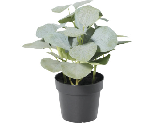 Plantă artificială de eucalipt în ghiveci de plastic negru cu frunze rotunde.