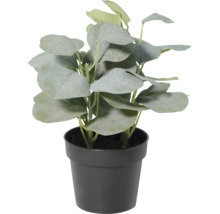 Plantă artificială de eucalipt verde în ghiveci de plastic negru pentru interior.