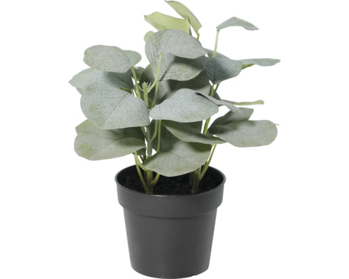 Plantă artificială de eucalipt verde în ghiveci de plastic negru pentru interior.