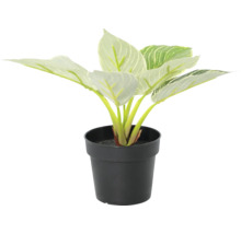 Plantă artificială de interior în ghiveci de plastic negru, cu frunze mari cu model deschis.