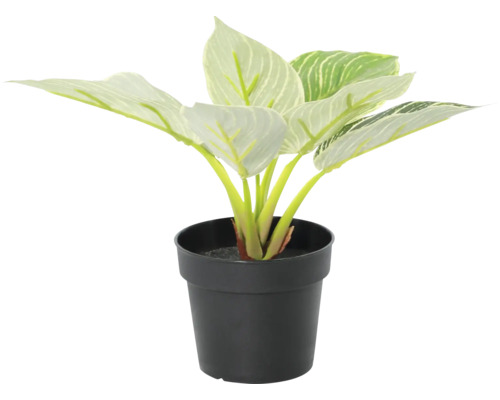 Plantă artificială de interior în ghiveci de plastic negru, cu frunze mari cu model deschis.