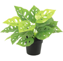 Plantă artificială Monstera Adansonii în ghiveci negru cu frunze perforate.