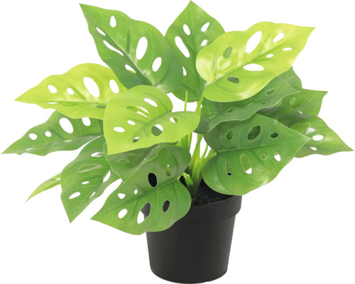 Plantă artificială Monstera Adansonii în ghiveci negru cu frunze perforate.