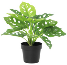 Plantă artificială Monstera Adansonii în ghiveci de plastic negru.