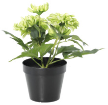 Floare artificială dalie în ghiveci de plastic negru, plantă artificială.