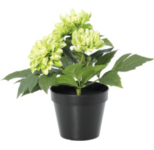 Dalie artificială în ghiveci negru cu flori verde deschis.