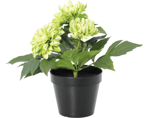 Dalie artificială în ghiveci negru cu flori verde deschis.