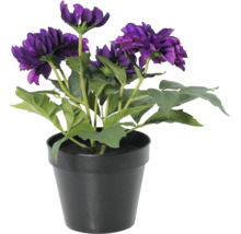 Dalie artificială în ghiveci de plastic negru cu flori violete și frunze verzi pentru decorul interior.