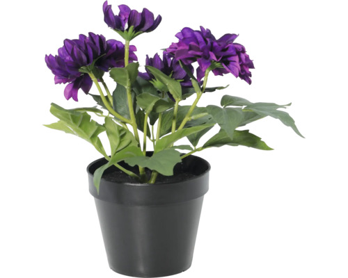 Dalie artificială în ghiveci de plastic negru cu flori violete și frunze verzi pentru decorul interior.