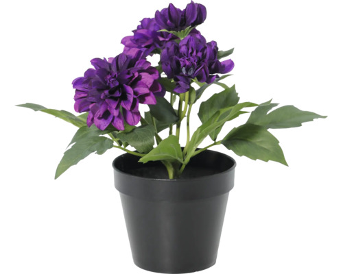 Dalie artificială violet într-un ghiveci de plastic negru cu frunze verzi.