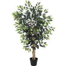 Plantă artificială Ficus cu trunchi împletit în ghiveci de plastic negru.