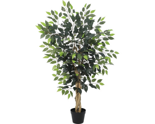 Plantă artificială Ficus cu trunchi împletit în ghiveci de plastic negru.