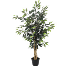 Ficus Benjamina artificial cu trunchi răsucit din lemn natural într-un ghiveci din plastic negru.