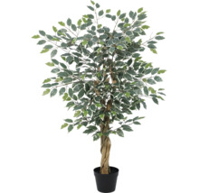 Ficus Benjamina artificial cu frunze variegate și trunchi de lemn răsucit în ghiveci negru.
