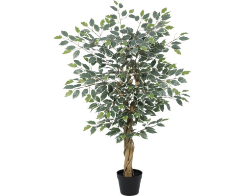 Ficus Benjamina artificial cu frunze variegate și trunchi de lemn răsucit în ghiveci negru.