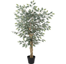 Ficus artificial cu trunchi împletit și frunze bicolore în ghiveci din plastic negru.