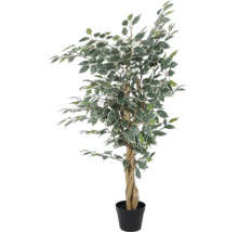 Ficus Benjamina artificial cu frunze variegate și trunchi împletit în ghiveci din plastic negru.