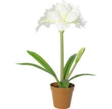 Amaryllis artificial cu flori albe și frunze verzi în ghiveci.
