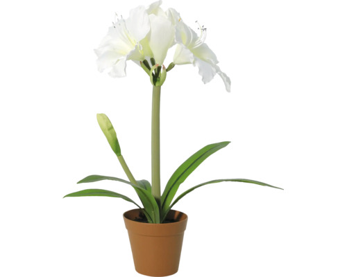 Amaryllis artificial cu flori albe în ghiveci de plastic.