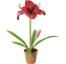Plantă artificială amaryllis cu floare roșie și boboc în ghiveci maro.