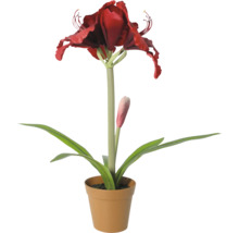 Amaryllis artificială în ghiveci cu floare roșie și frunze verzi.