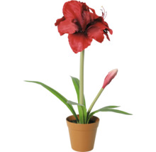 Amaryllis artificial cu o floare roșie și un boboc într-un ghiveci.