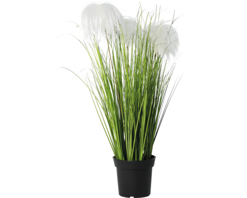 Iarbă decorativă artificială cu pămătufuri albe în ghiveci negru.