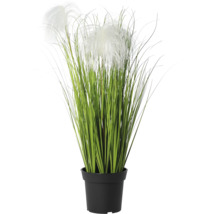 Iarbă decorativă artificială în ghiveci de plastic negru cu inflorescențe albe.