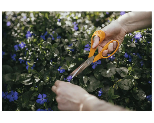 Foarfecă de grădină Fiskars care taie flori mov dintr-un strat.