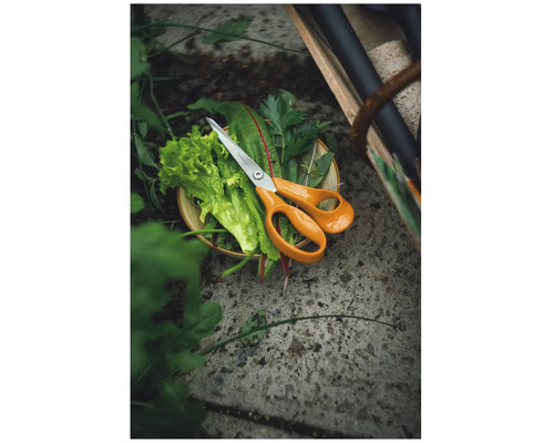 Foarfecă pentru ierburi Fiskars așezată pe ierburi și salată proaspăt recoltate într-un bol în grădină, pe o podea de piatră.
