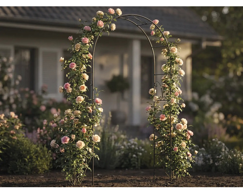 Arc pentru trandafiri din metal cu trandafiri cățărători înfloriți într-o grădină luminoasă în fața unei case, suport decorativ exterior.