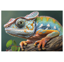 Prim-plan cu un cameleon cu model pe o ramură.