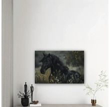 Tablou cu un cal negru pe o pajiște, deasupra unei comode cu obiecte decorative într-o cameră luminoasă.