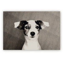 Tablou cu portretul unui câine Jack Russell Terrier în variantă alb-negru.