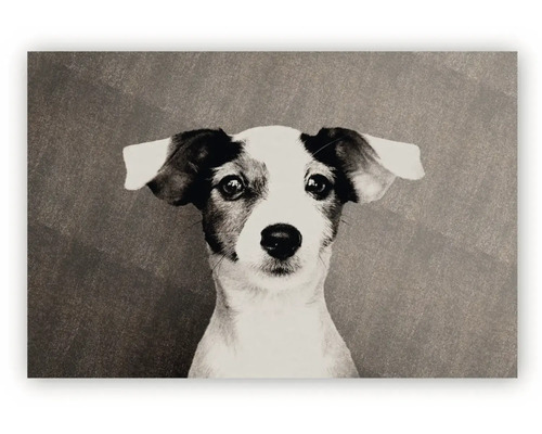 Tablou cu portretul unui câine Jack Russell Terrier în variantă alb-negru.