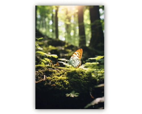 Tablou canvas Forest Butterfly 60x90 cm buc
