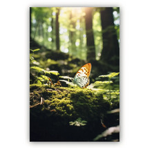 Tablou decorativ de perete cu un fluture pe mușchi într-o pădure luminoasă și însorită.