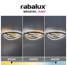 Plafonieră cu LED integrat Rabalux Brantiel 60W 3000 lumeni, negru