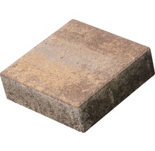 Pavaj din beton