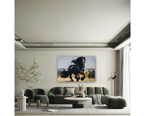 Sufragerie modernă și luminoasă cu canapea verde, măsuță de cafea și tablou cu un cal negru în galop.