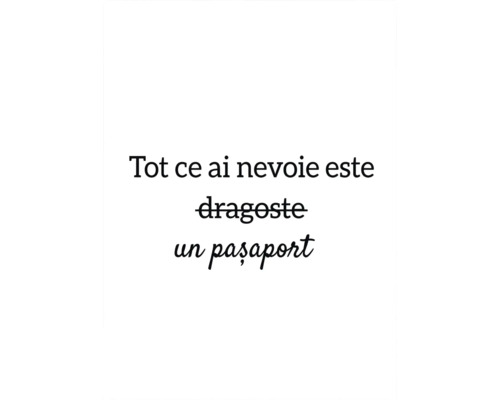 Tablou canvas Passport to Happiness 35x45 cm
