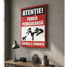 Tablou pe pânză cu mesaj de avertizare amuzant Atenție Femeie periculoasă, câinele e cuminte și o ilustrație cu o femeie și un bărbat.