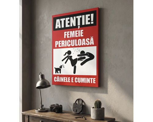 Tablou pe pânză cu mesaj de avertizare amuzant Atenție Femeie periculoasă, câinele e cuminte și o ilustrație cu o femeie și un bărbat.