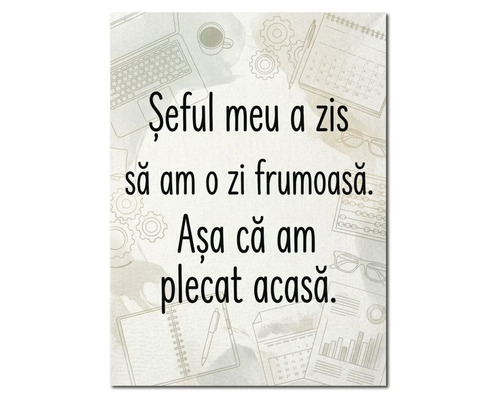 Tablou decorativ cu textul în limba română Șeful meu a zis să am o zi frumoasă. Așa că am plecat acasă., fundal cu schițe de birou.