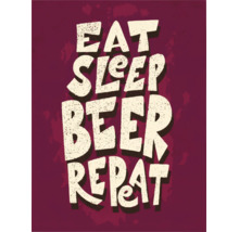 Tablou canvas Beer Life 35x45 cm