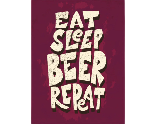 Tablou canvas Beer Life 35x45 cm
