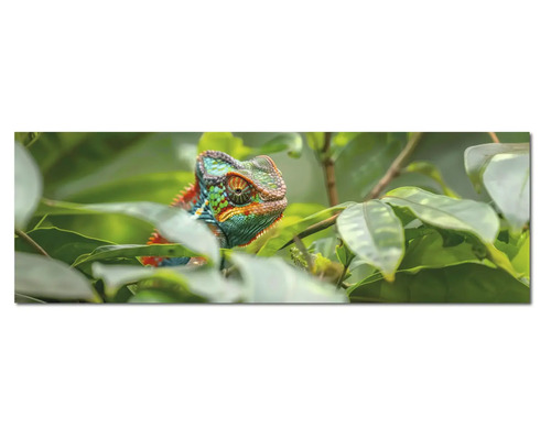 Tablou mural cu cameleon colorat printre frunze verzi, în format panoramic.