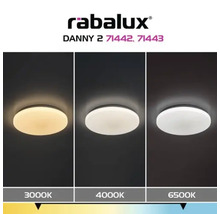 Plafonieră cu LED integrat Rabalux Danny 60W 4100 lumeni 3000K, albă